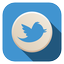 twitter logo